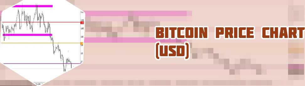 5 bitcoin to usd