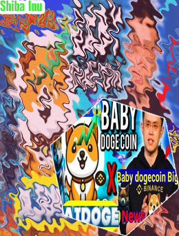 Baby dogecoin news