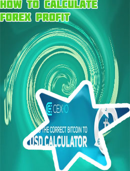 Bitcoin usd calculator