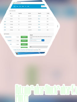Btc block explorer