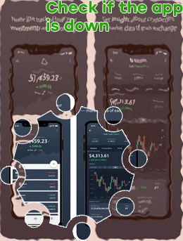 Is the crypto app down
