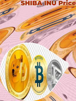 Shiba cryptocurrency price