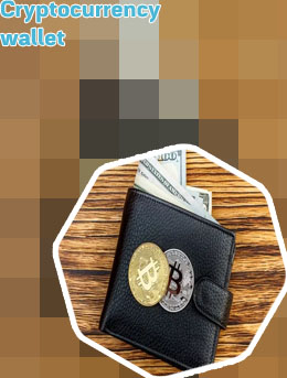 Wallet bitcoin